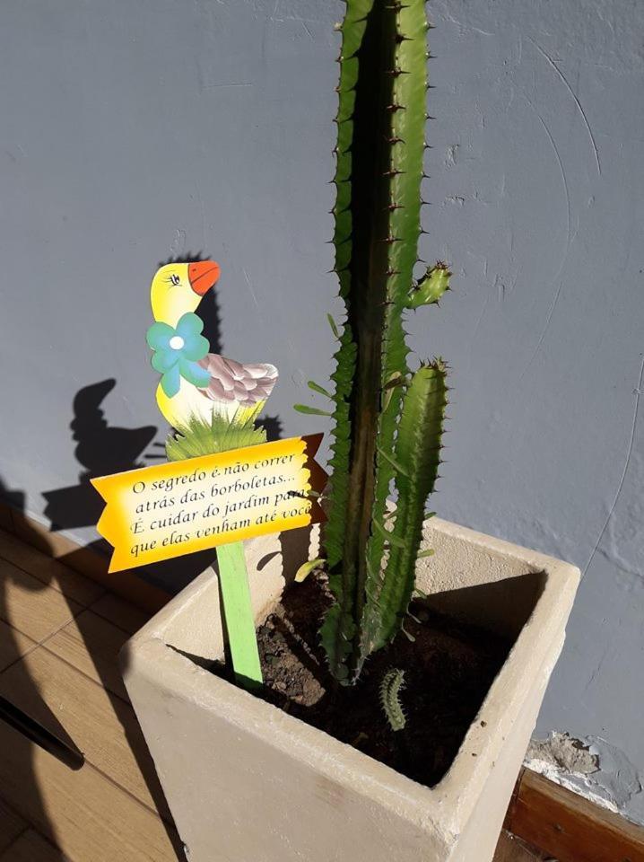 Aconchego De Um Lar Hospedagem Domiciliar Cabo Frío Exterior foto